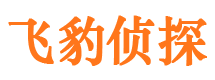 丹凤市私家侦探